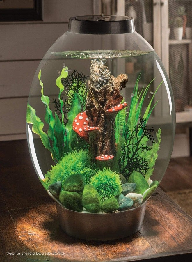 BiOrb 46084.0 Moss Pebbles Aquariums - Image 2